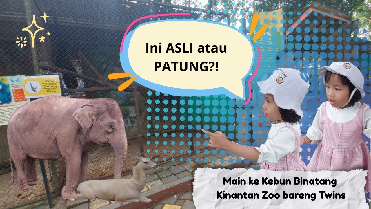 Main ke Kebun Binatang Kinantan Bukittinggi Bareng Twins