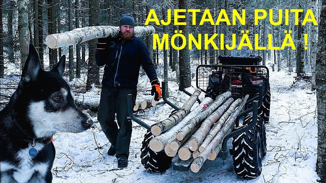Ajetaan savotan puut mönkijällä pihalaaniin