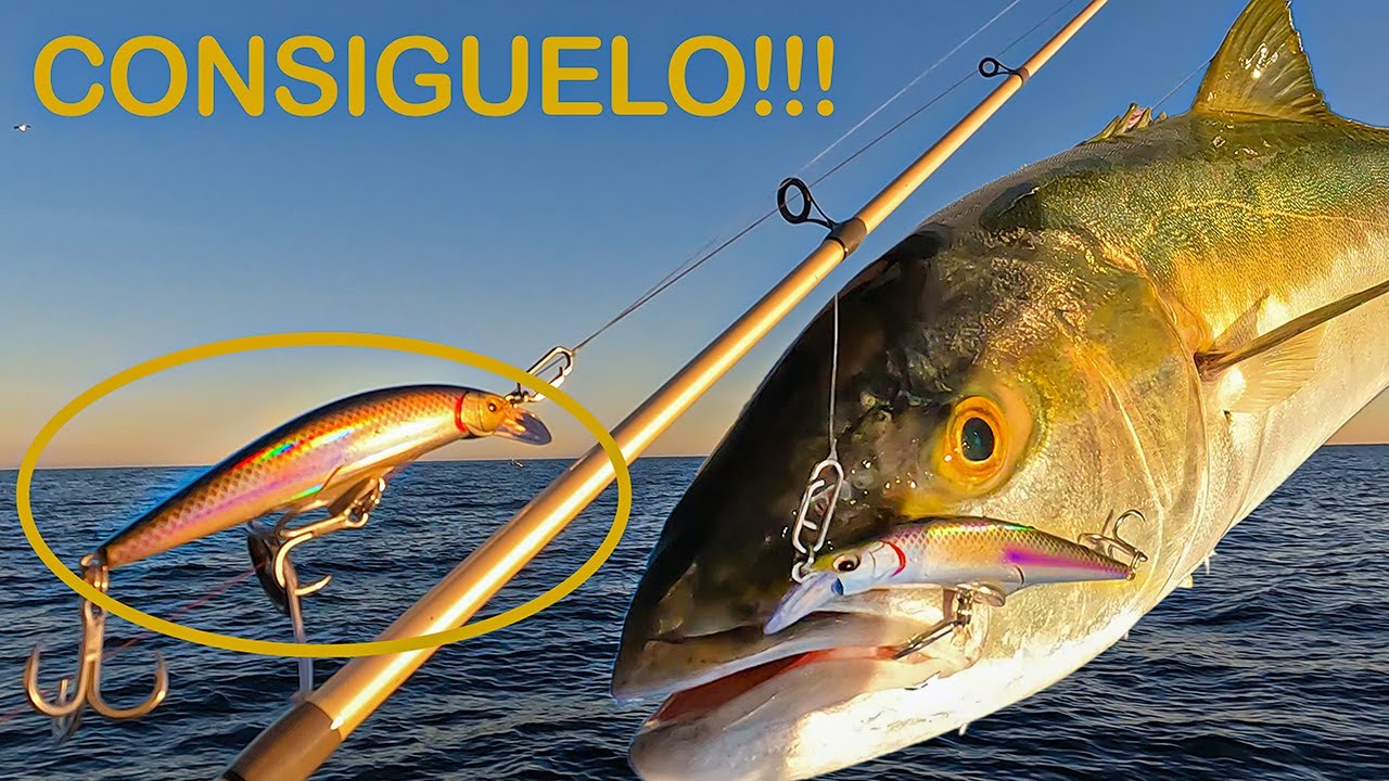 Tienes que conseguir este curricán!!!!