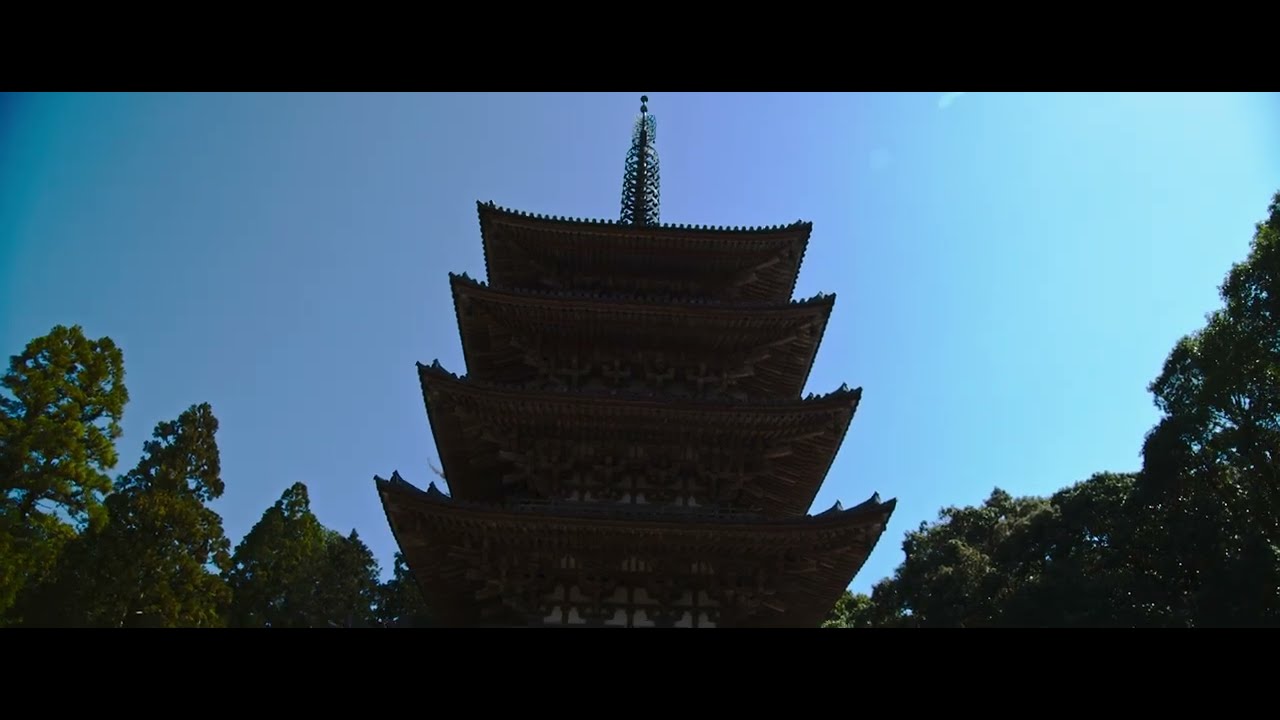 シネマテイック 京都 醍醐寺 4K HDR BMPCC