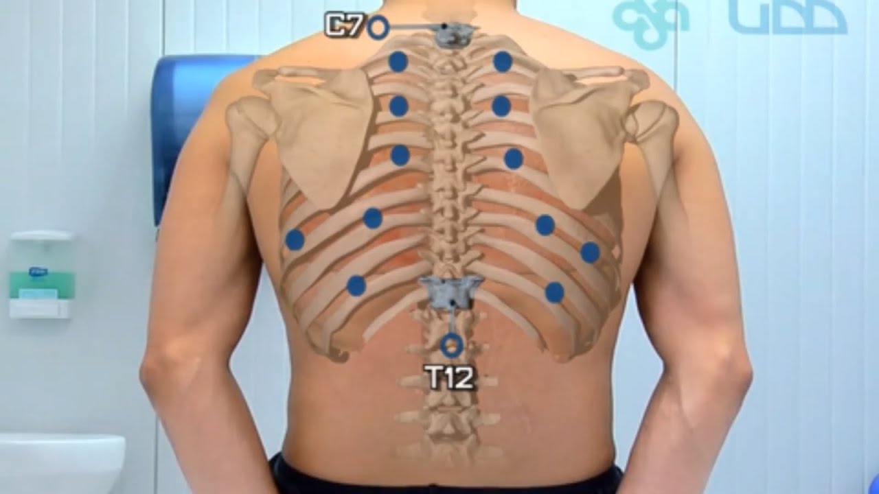 Semiolog&iacute;a M&eacute;dica Pr&aacute;ctica - Revisi&oacute;n Sist&eacute;mica Completa