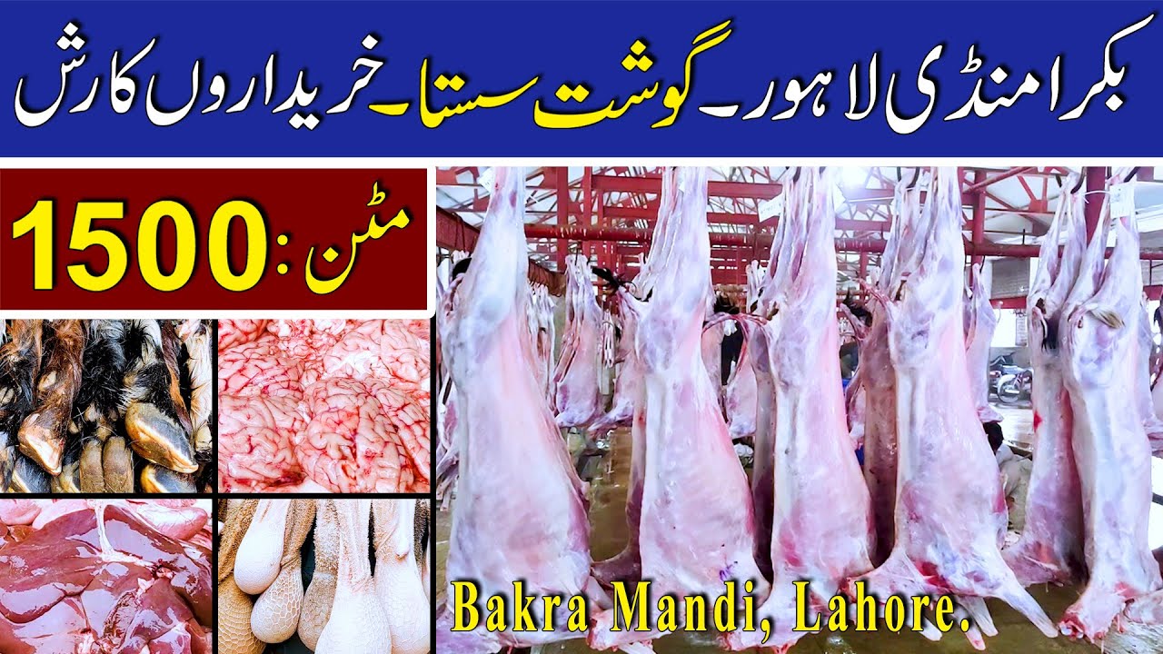 Bakra Mandi |#bakramandi |#mandi |#janwar #rates, #cheap |#price |#shop |#market |#mutton |#food