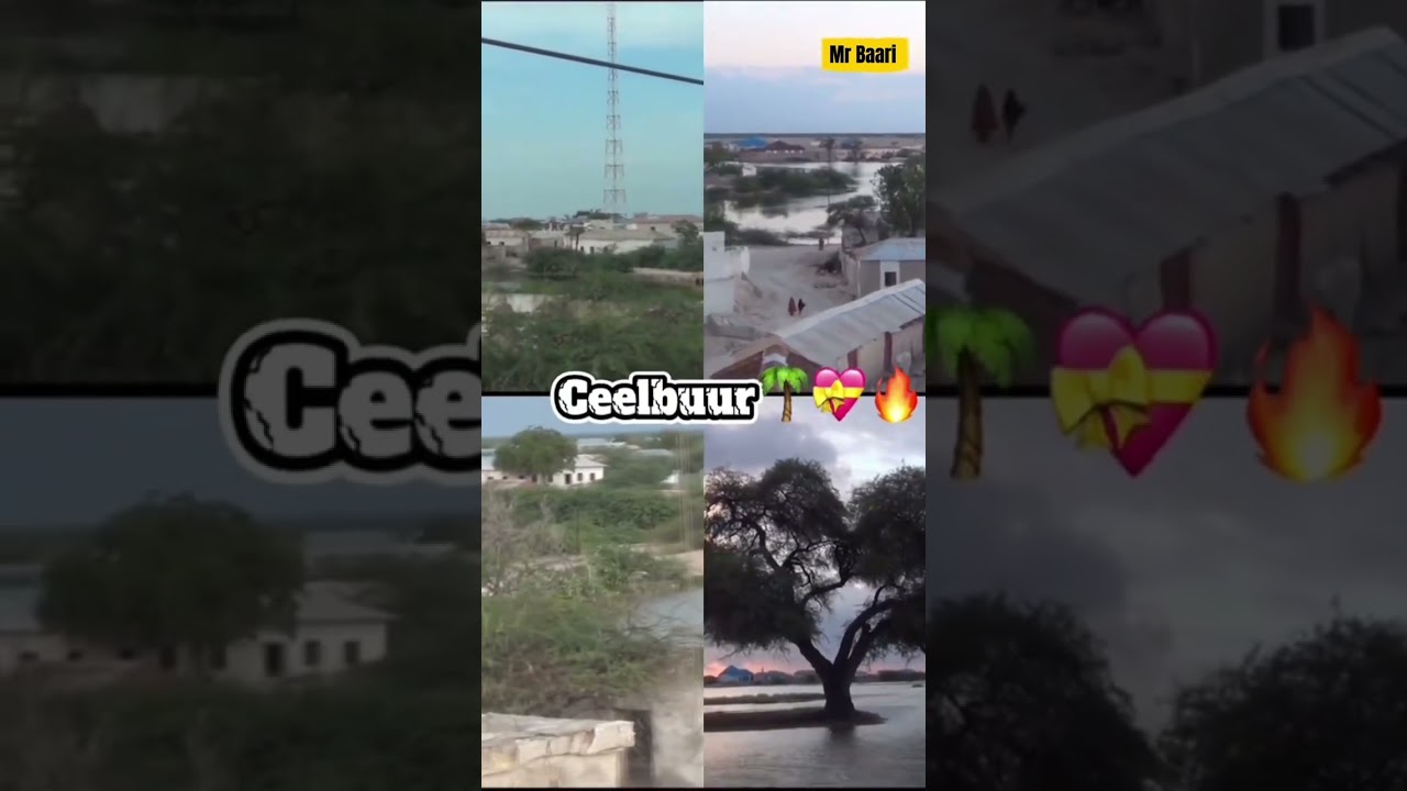 Wax kabaro Taariqda Magalada Ceelbuur