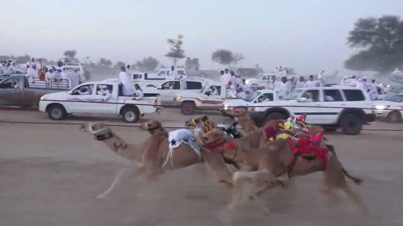 مركاض السيح الخضر الشوط الاول