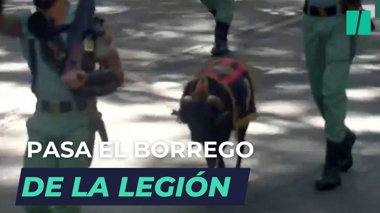 As&iacute; ha sido el paso de la 'cabra' de la Legi&oacute;n en el desfile del 12 de Octubre