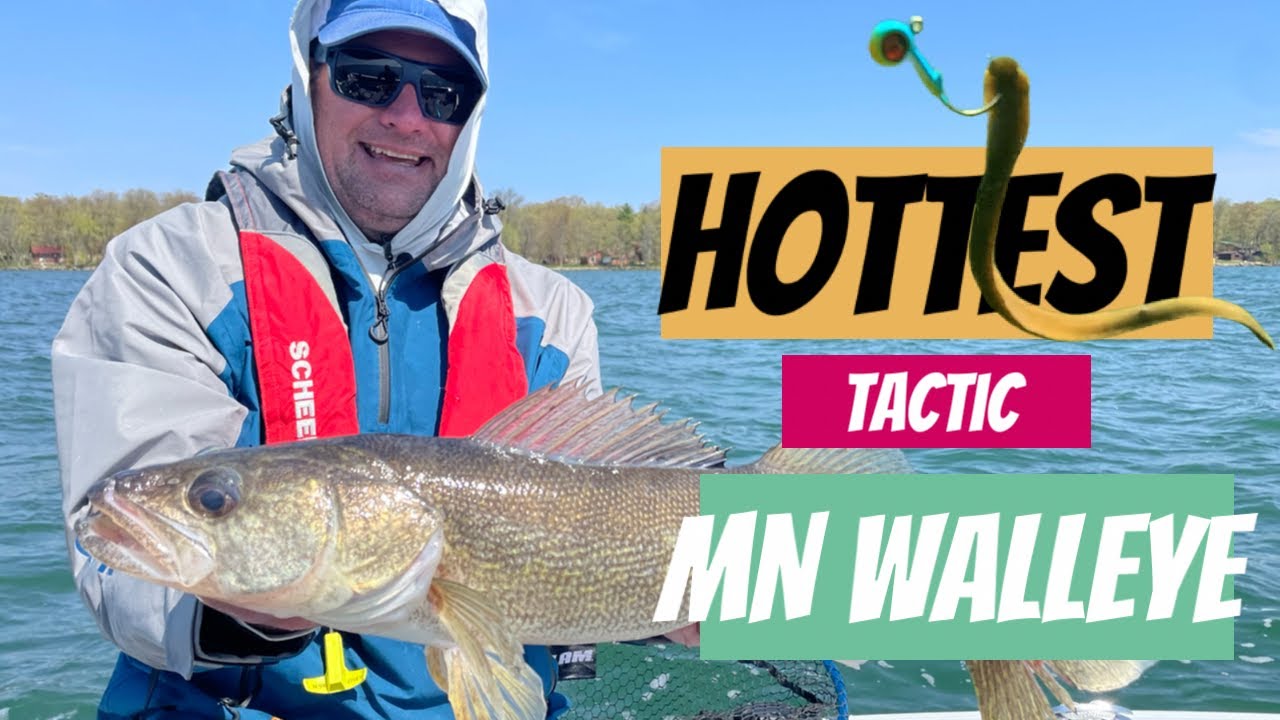 Hottest Tactic for Minnesota Walleye | Leech Lake
