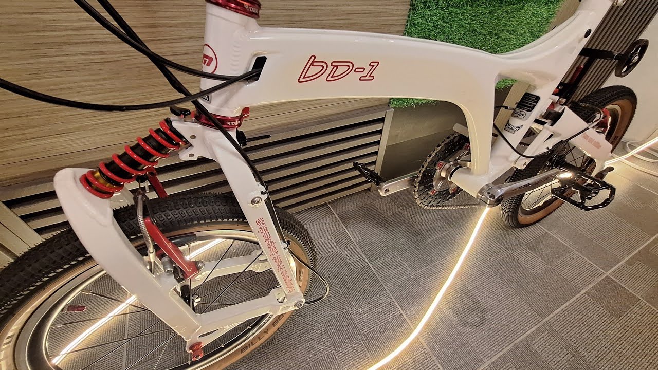 Birdy folding bike BD1 V2