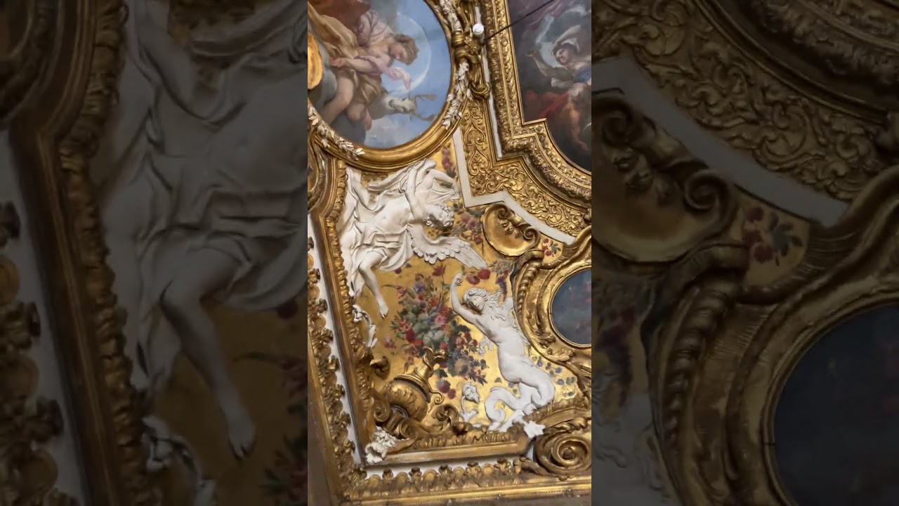 Musei Reali di Torino @ shalom tech #youtubecreators #youtubehighfive #youtubeshorts #ytshorts