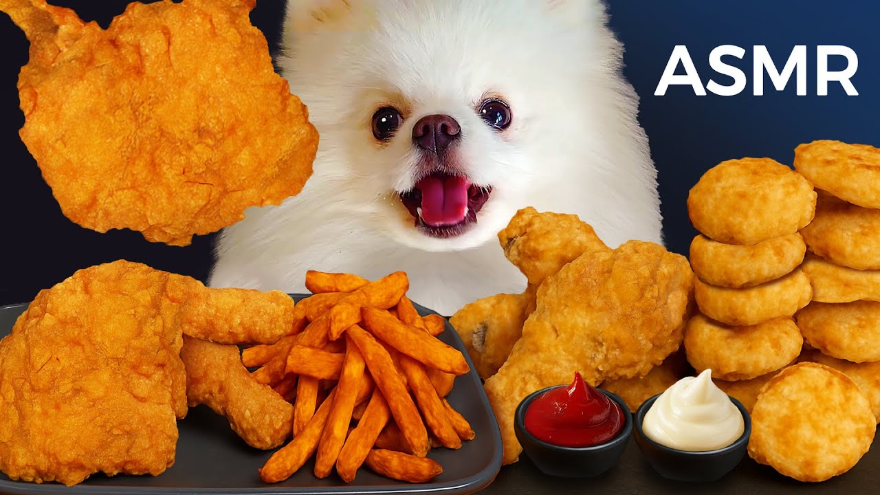 ASMR Mukbang | Yue the Pomeranian Eating Fried Chicken, French Fries & Chicken Nuggets
