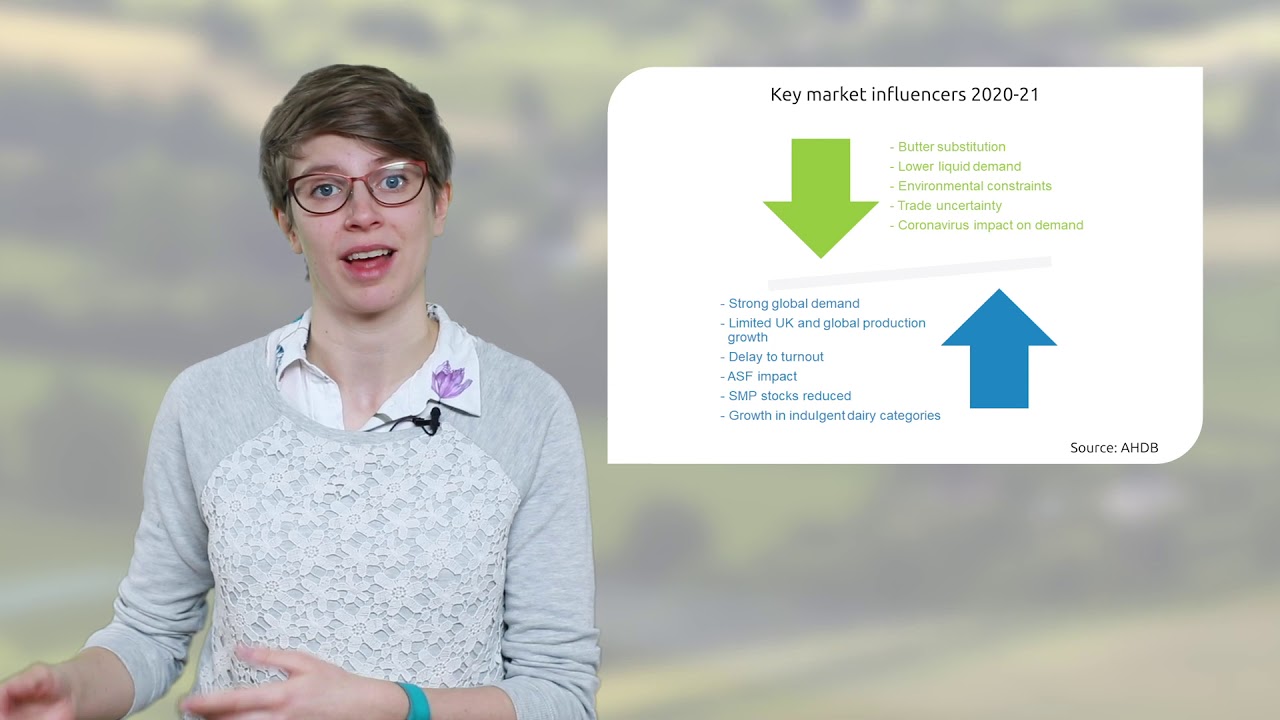 Dairy Market Update: What will happen to dairy markets in 2020-21?