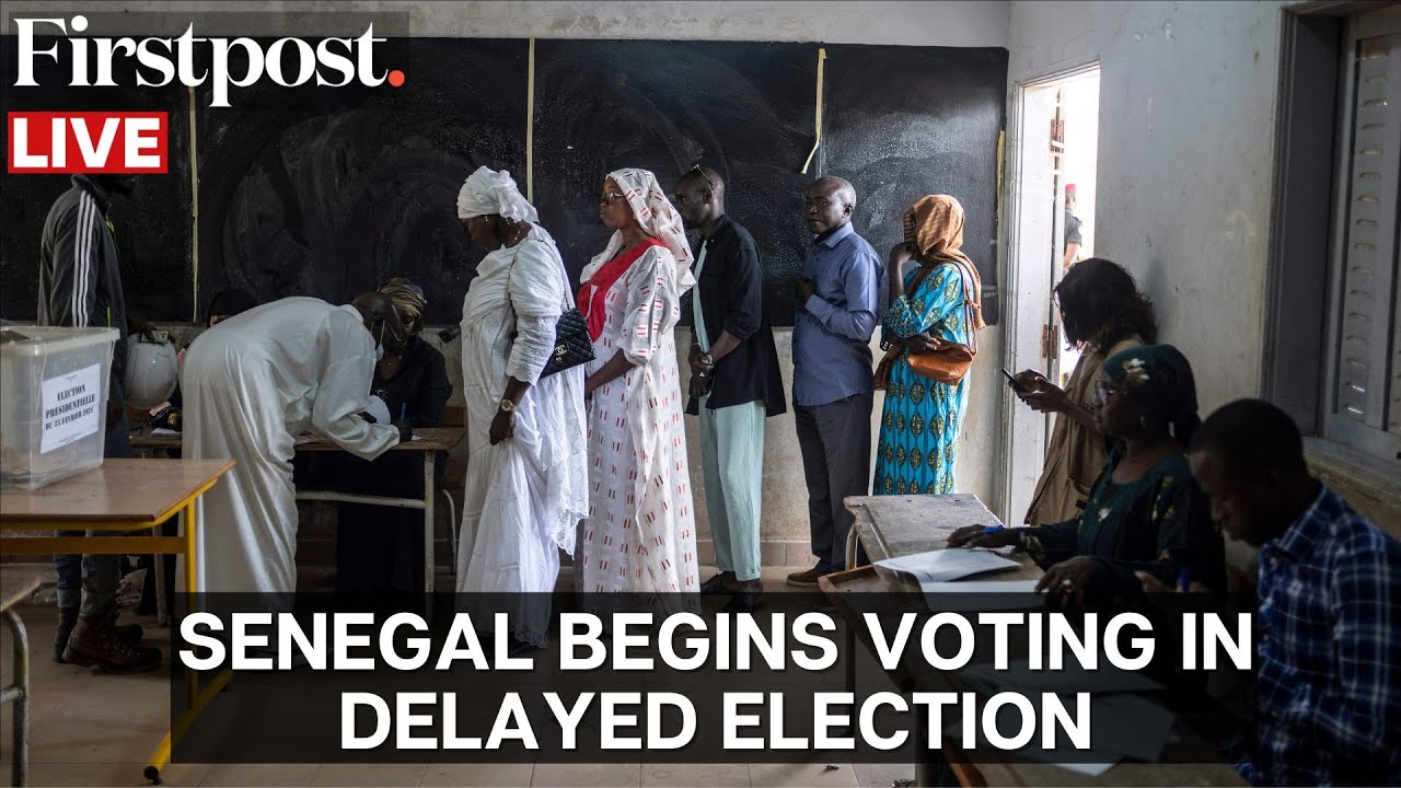 Senegal Presidential Election LIVE: Voters Choose New President After Political Crisis