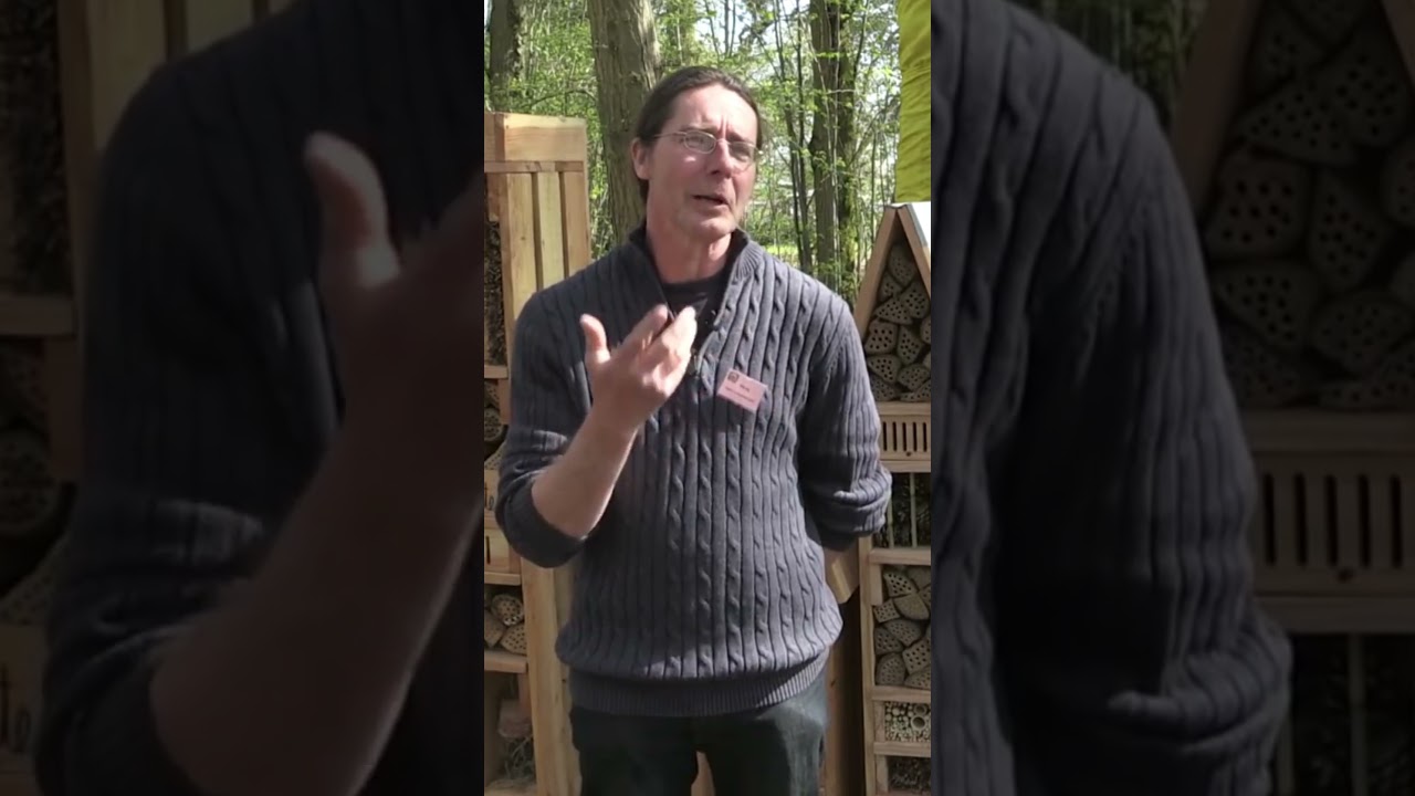 Un HÔTEL à INSECTES pour FAVORISER la BIODIVERSITÉ