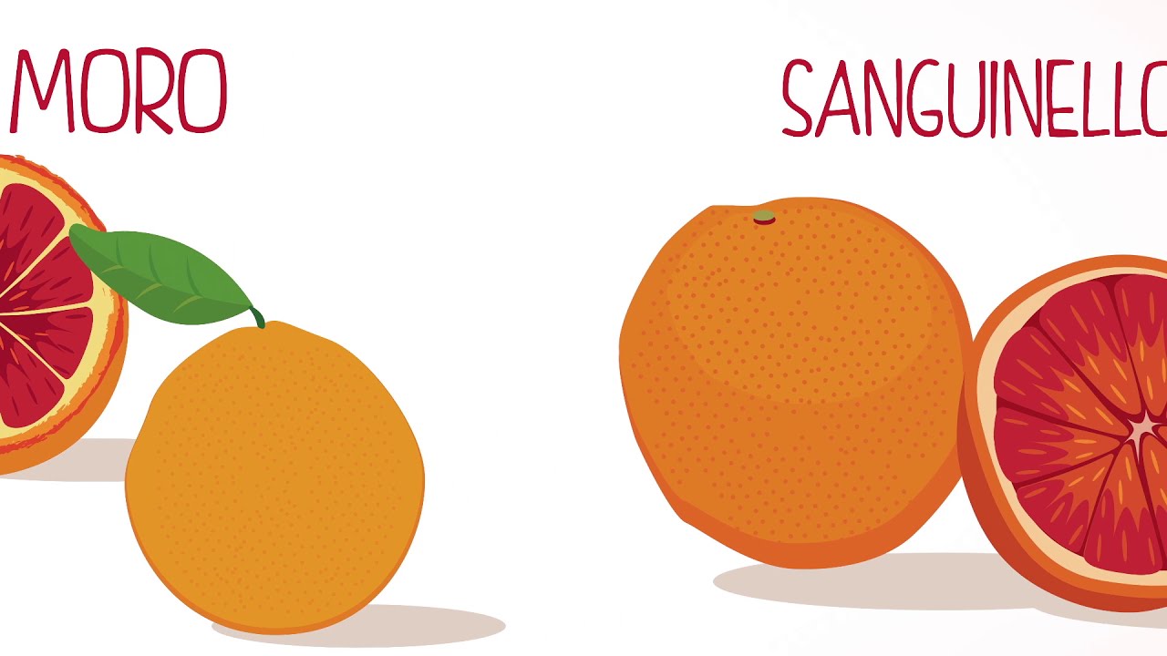 03   Le varietà _ Arance bionde e rosse _ Oranfrizer