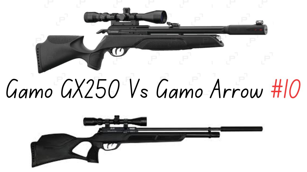 Gamo Gx250 Vs Gamo Arrow