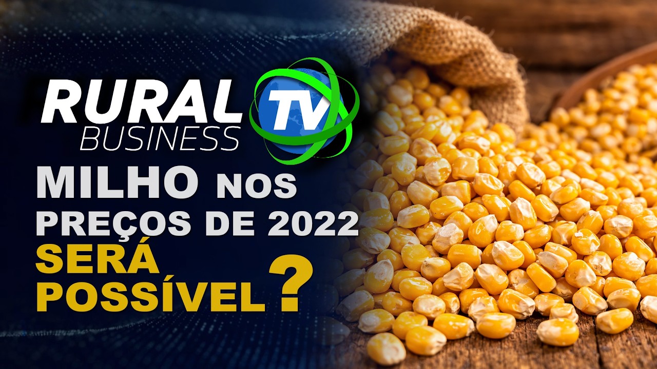 MILHO NOS PRE&Ccedil;OS DE 2022: SER&Aacute; QUE ISSO &Eacute; POSSIVEL?