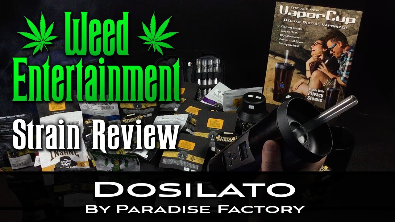 Dosilato - Indica - by Paradise Factory - Strain Review - from Dr Greenthumbs, Sylmar Ca