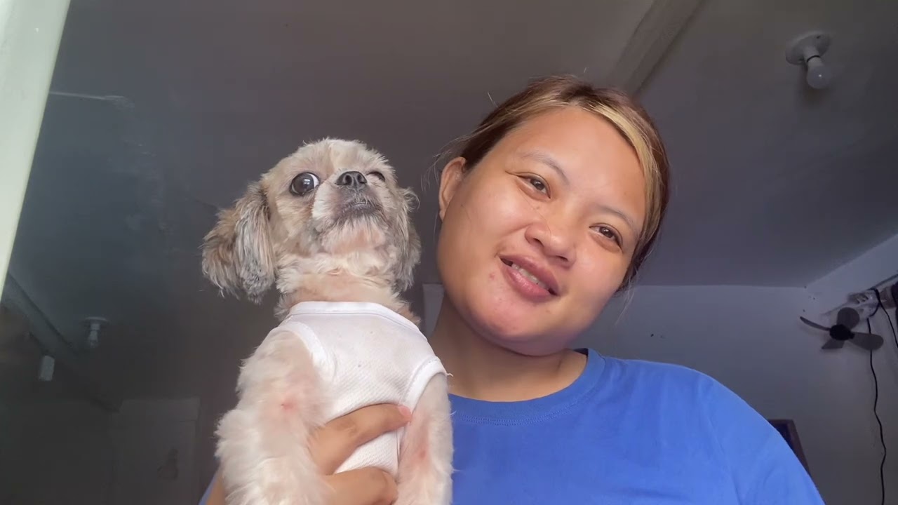 Ano gamot sa aso may garapata?