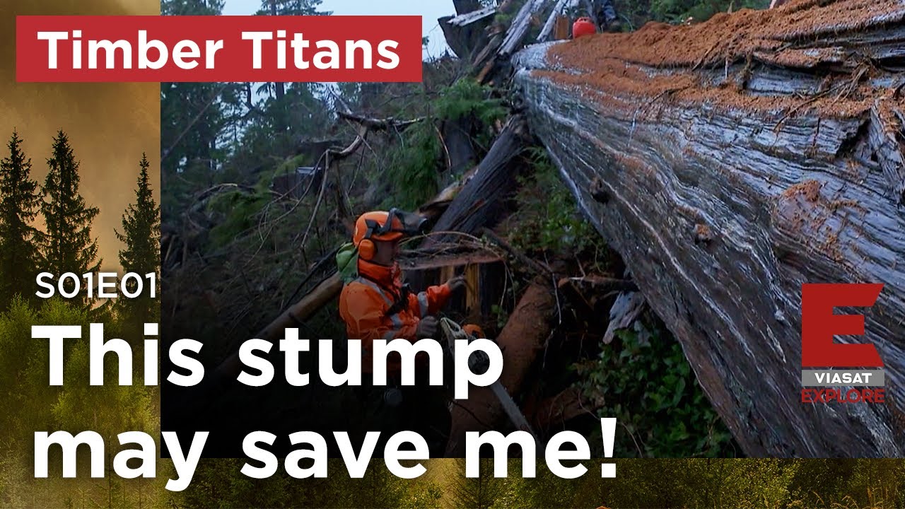 Cautiously Optimistic - Timber Titans - S01E01