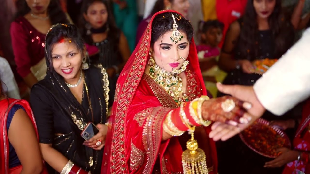 Wedding highlights 