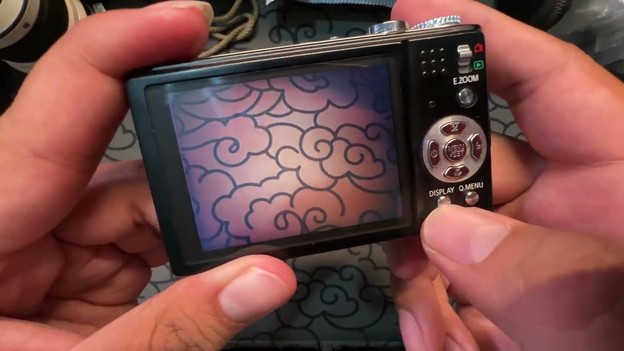 Lumix DMC ZR1