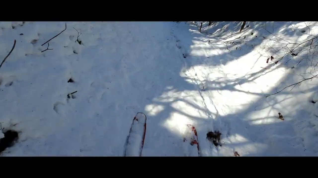 ⛷️ Backcountry skiing in Pisgah ⛷️