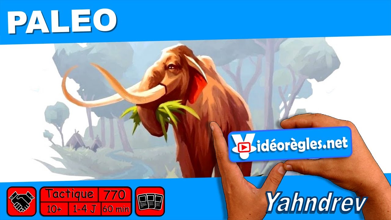 Vidéorègle Jeu de Société 