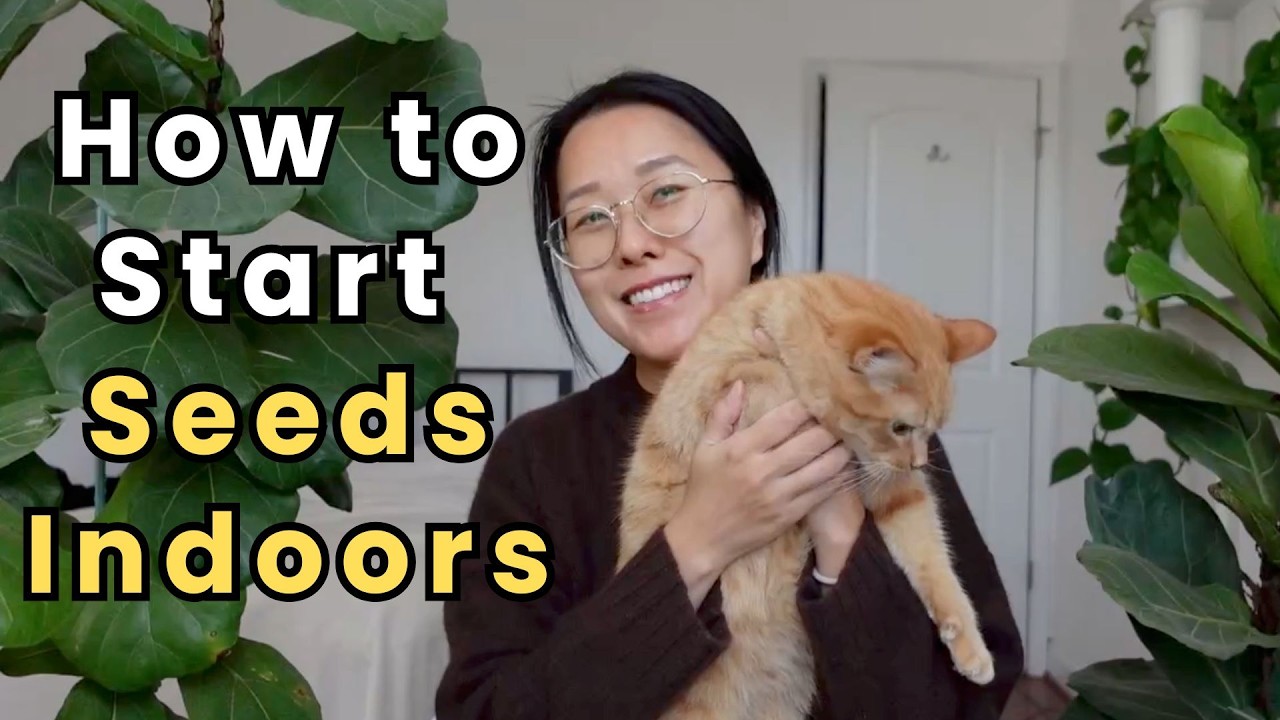 How to Build Grow Lights & Start Seeds Indoors