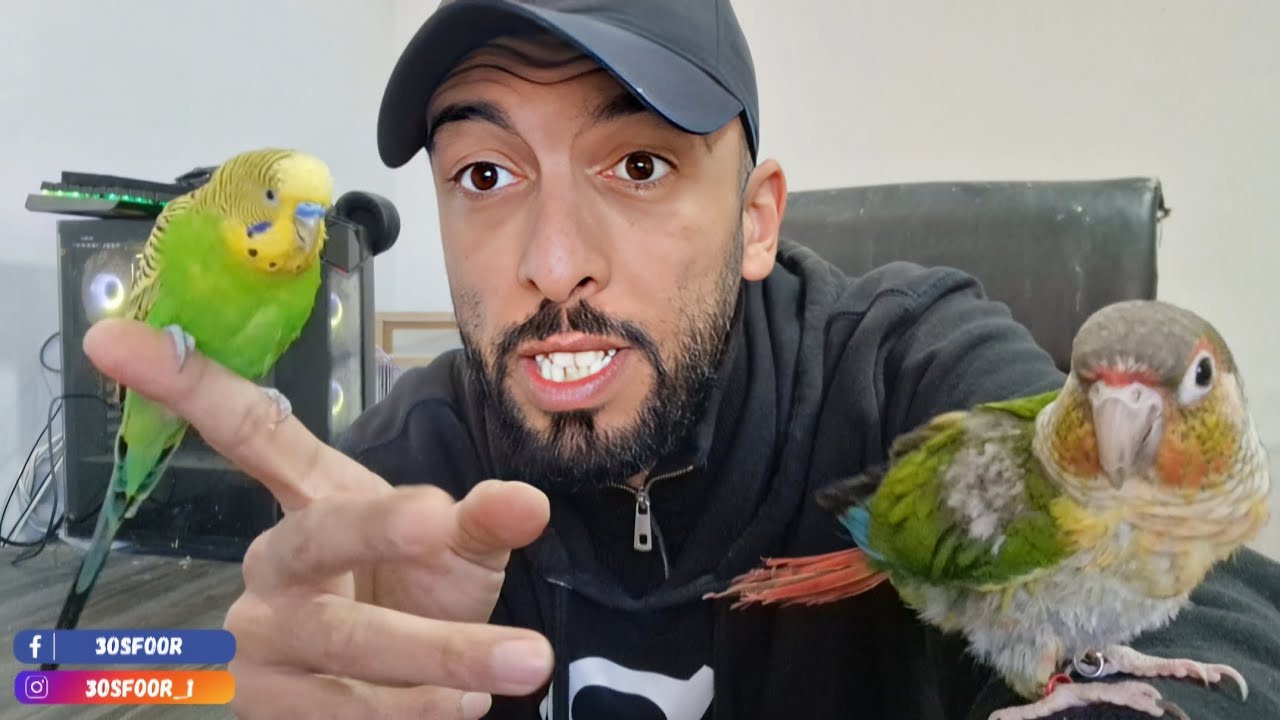 فحص أعشاش البادجي 🙄