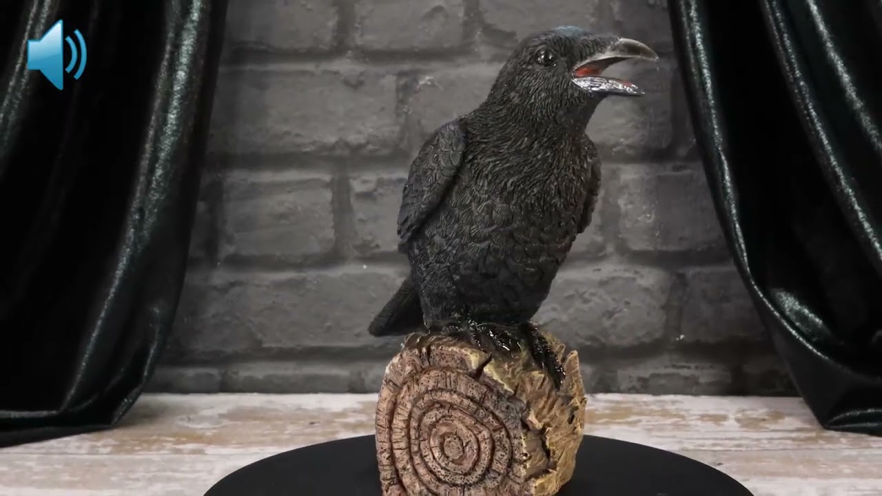 D7085B25 | Ravens Cry figurine | Nemesis Now