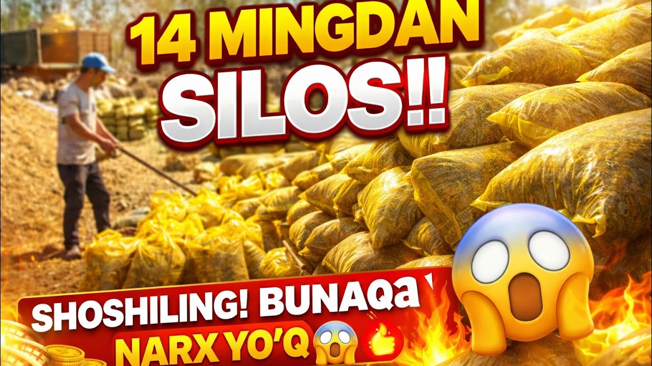 🔥 14 MINGDAN SILOS! BUNAQA NARXNI HECH QAYERDA TOPOLMAYSIZ 😱