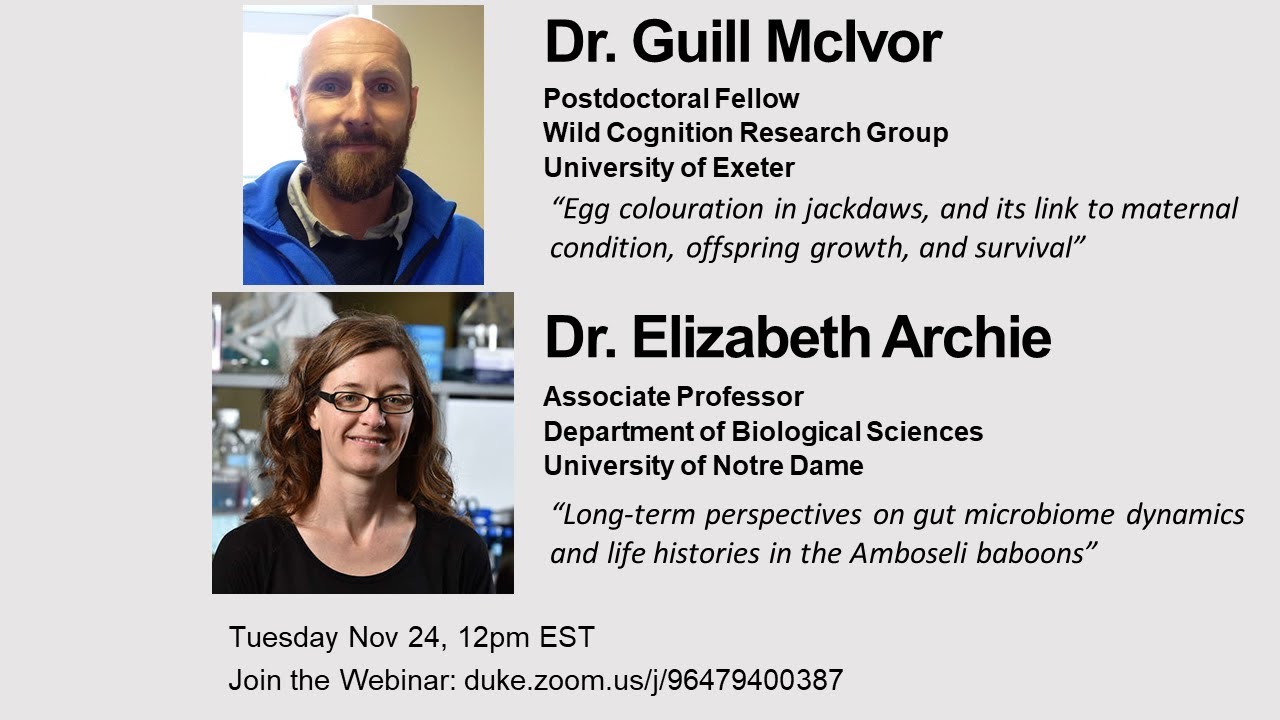 Dr. Guill McIvor and Dr. Elizabeth Archie: Long-Term Animal Research Seminar Serises