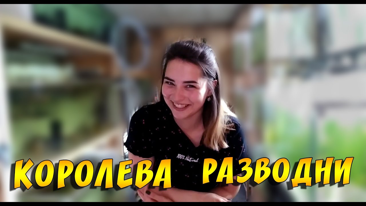 Отжали разводню! Вот как легко можно лишиться своей любимой разводни!