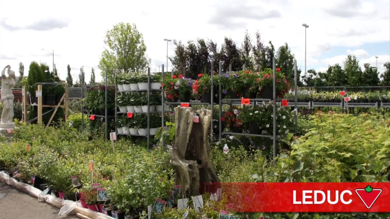 Canadian Tire Interview video