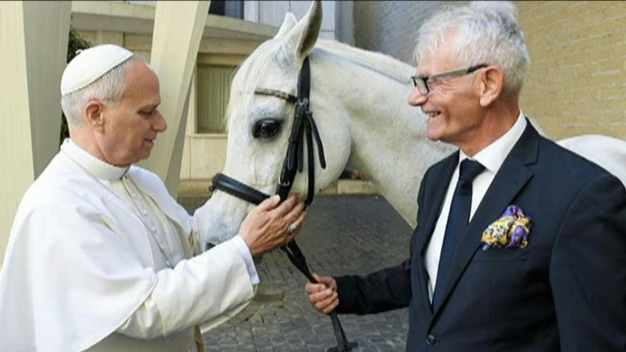 Papa Leão XIV é presenteado com cavalo puro-sangue árabe | AFP