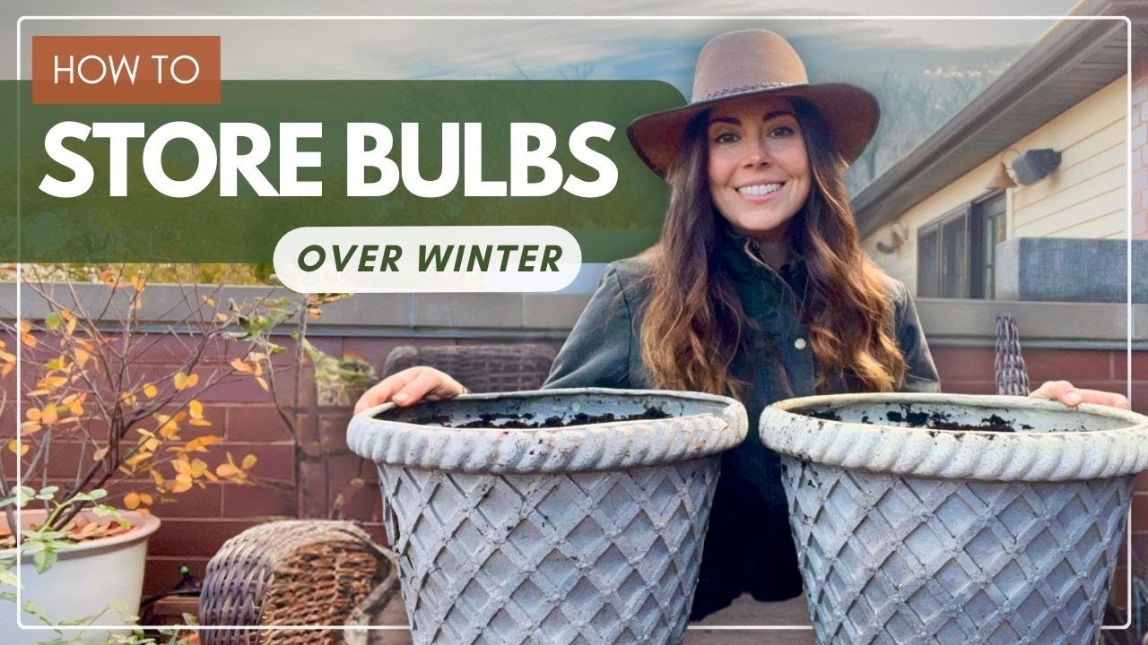How to Store Bulbs Over Winter (in Pots)