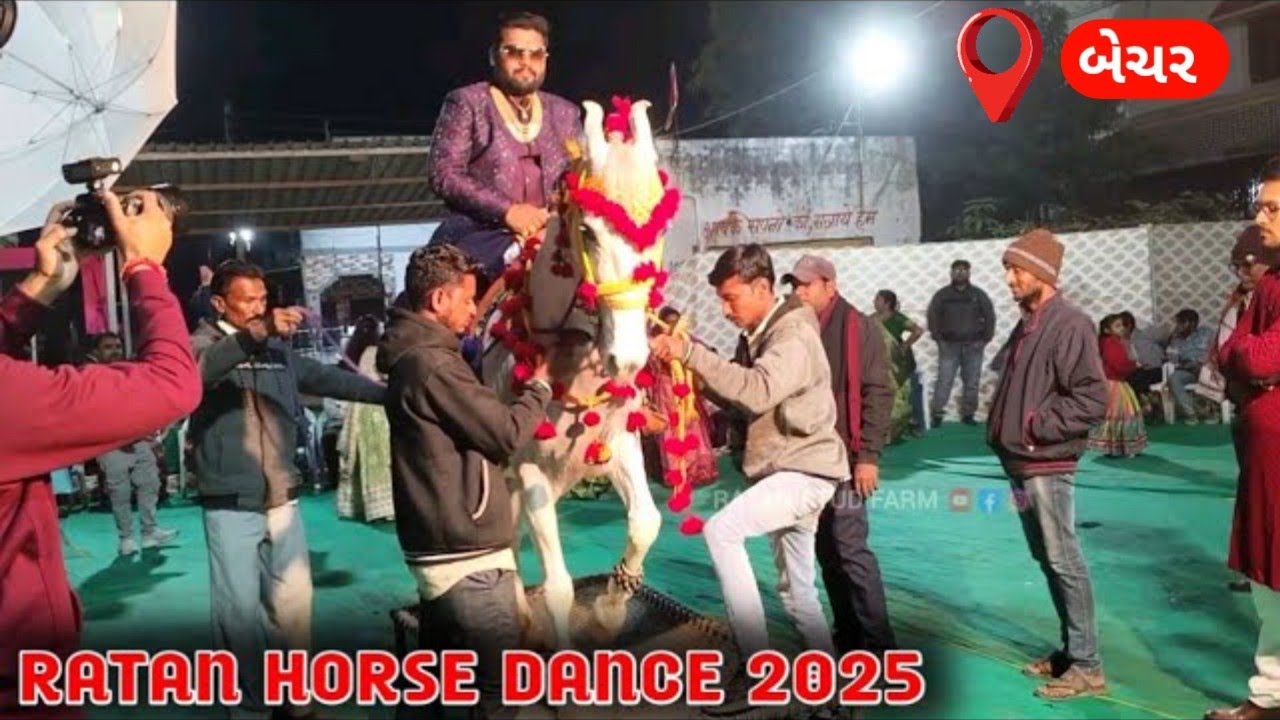 January 16, 2025 ratan horse dance