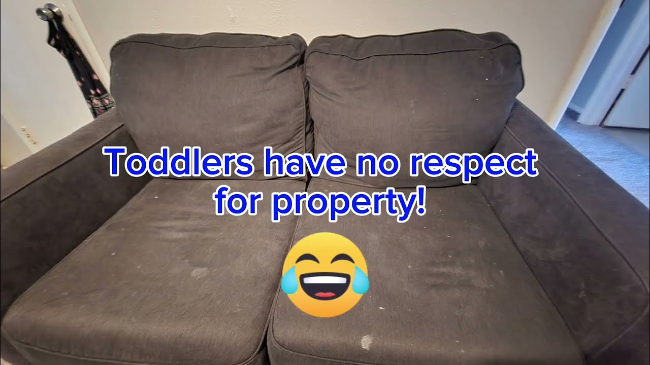 VLM Cleaning a sofa