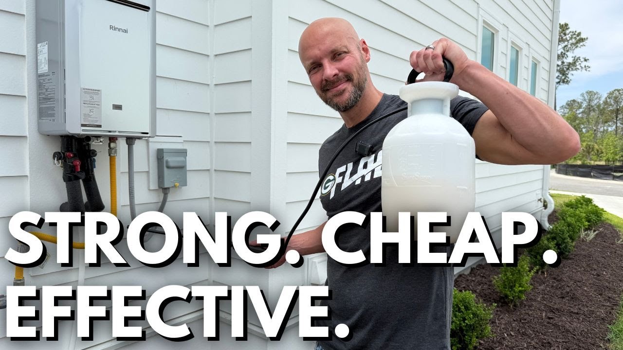 Cheap & Easy DIY Pest Control That Works!