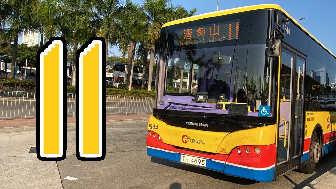 【野花】城巴 CTB 11 (中環碼頭 ↺ 渣甸山)