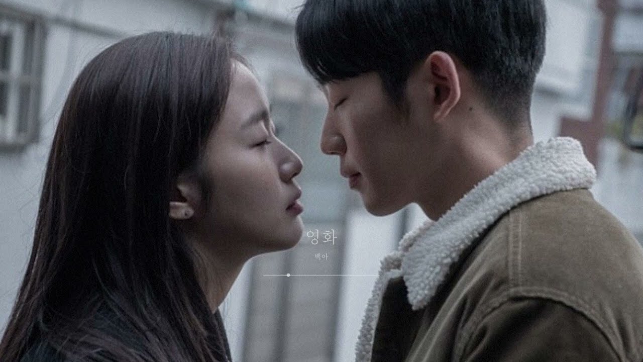 당신을 사랑하지 않겠습니다