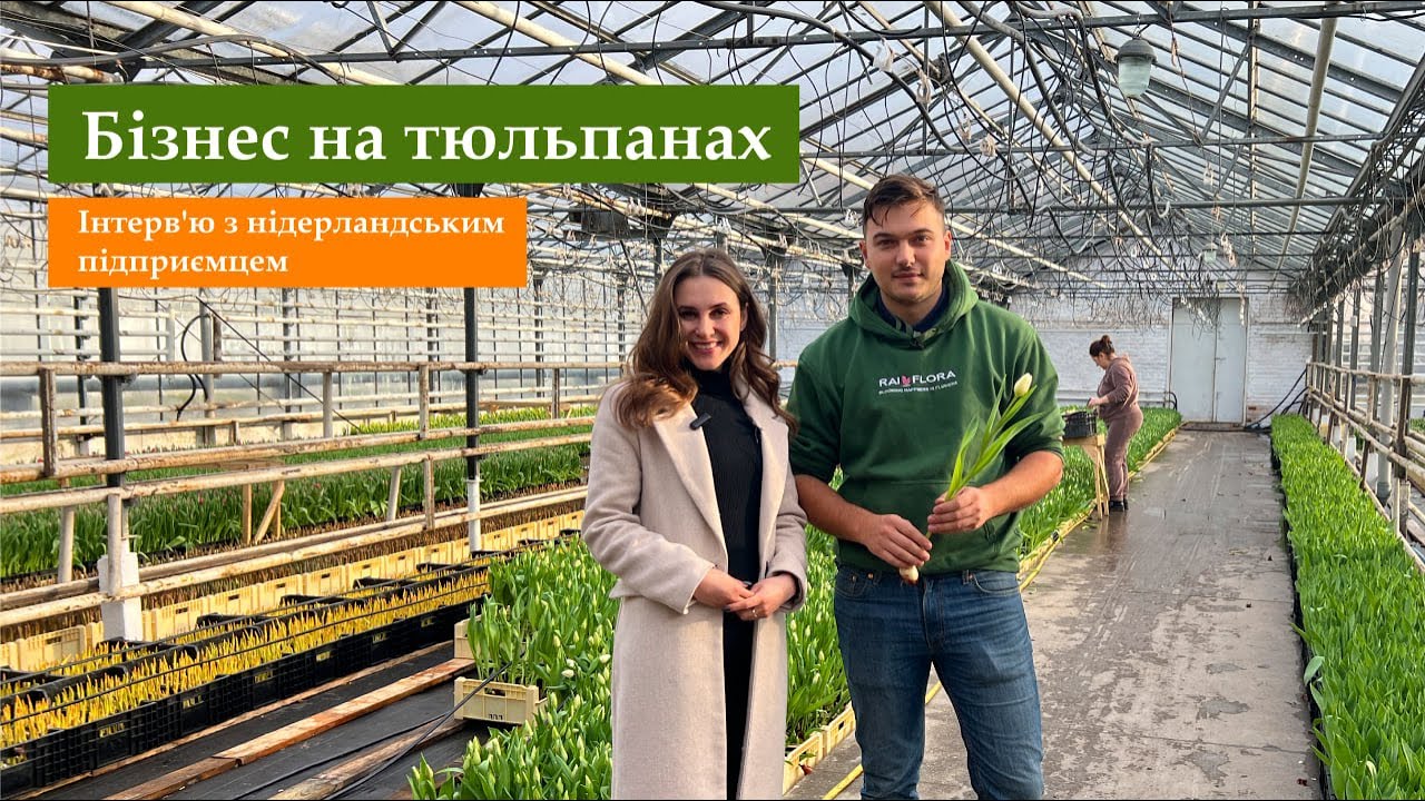 Бізнес на тюльпанах. Інтерв'ю з нідерландським підприємцем