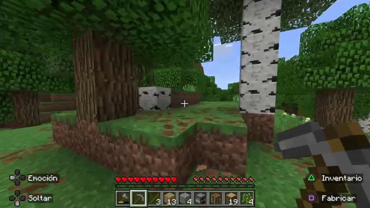 Minecraft_20260209134459
