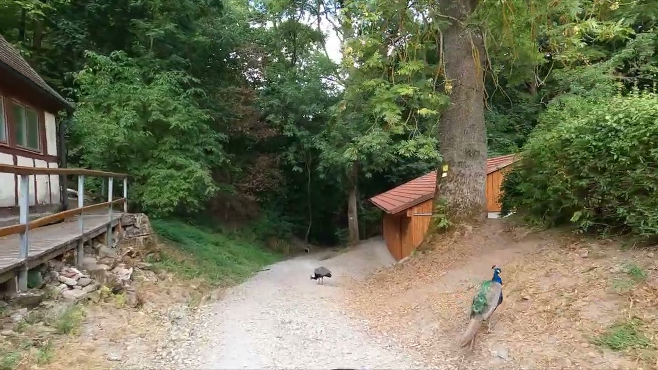Burgbernheim