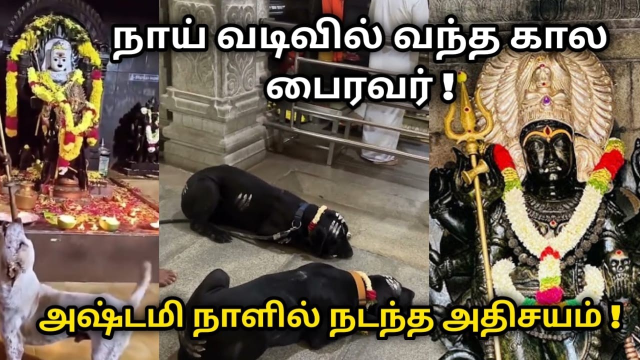 நாய் வடிவில் வந்த கால பைரவர் ! அஷ்டமி நாளில் இதை கண்டால் புண்ணியம் ! #காலபைரவர்