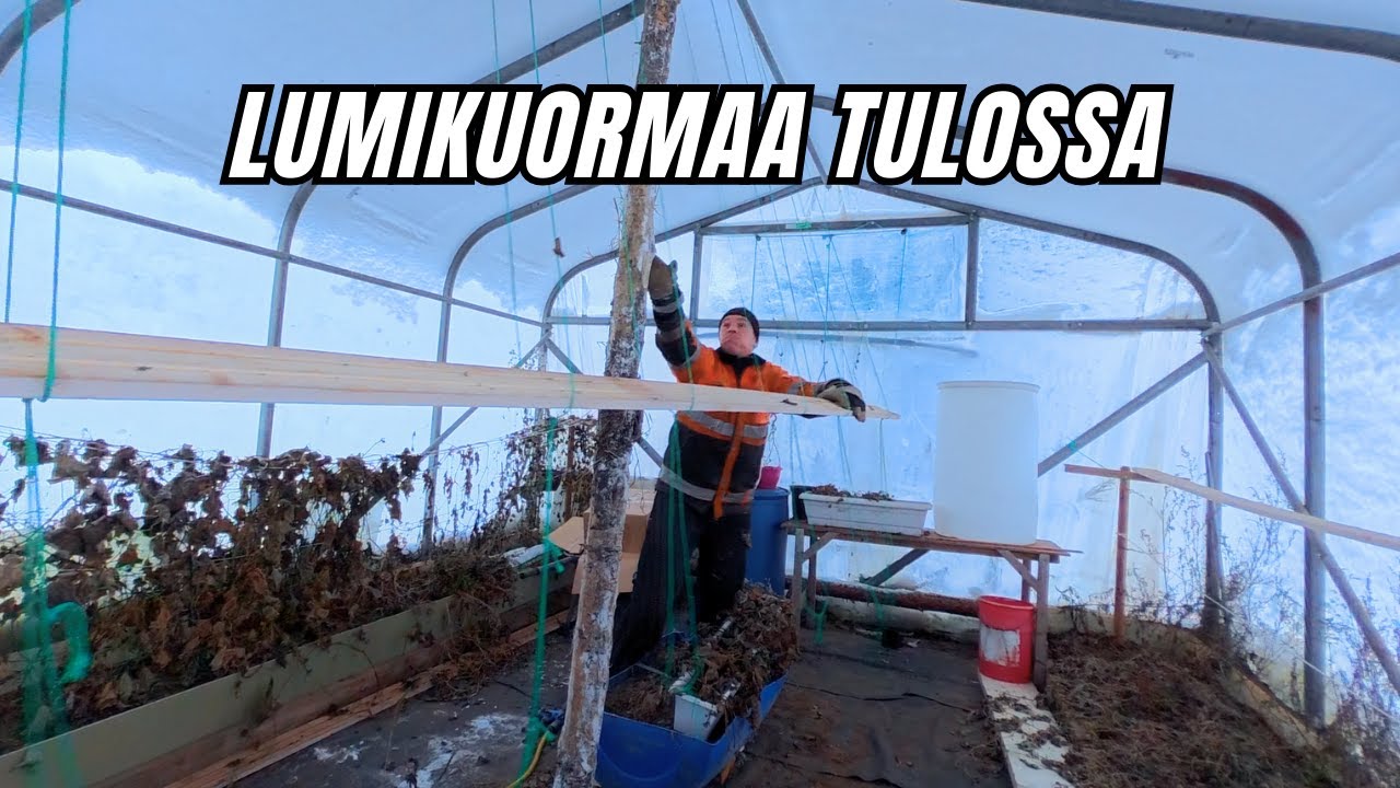 Kestääkö kasvihuone? – Varaudutaan lumikuormaan