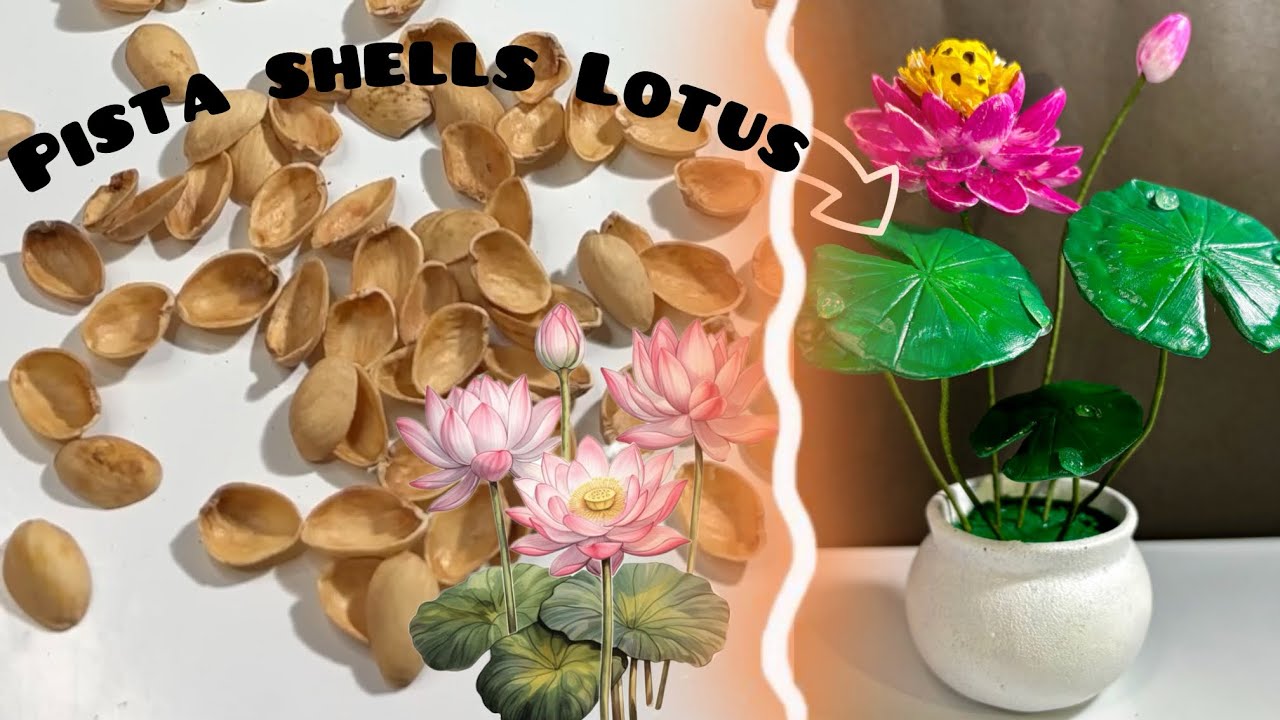 Pista Shells Lotus Flowers | Easy Pista Shells Crafts