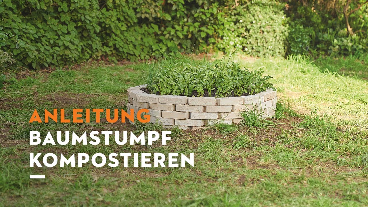 STIHL Anleitung: Baumstumpf entfernen