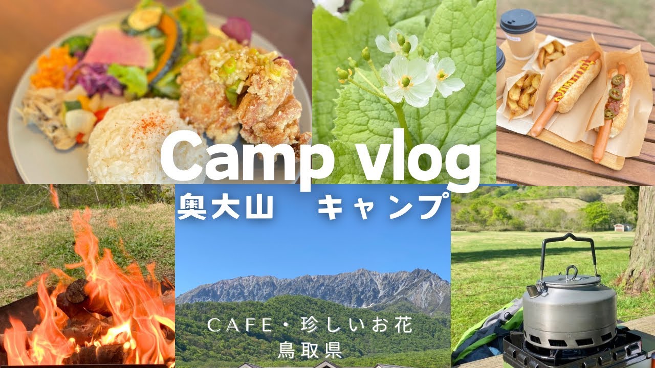 Кемпинг для двух пар 🏕️ Тоттори | Кафе | Прозрачные цветы 🌼 Успокаивающий лес 🕊️