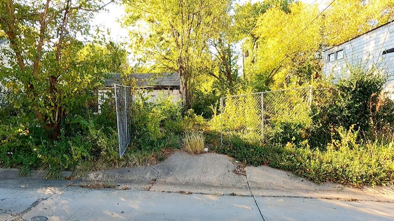 SHOCKED When I Showed Up To The WRONG Property - Backyard Cleanup Start To Finish