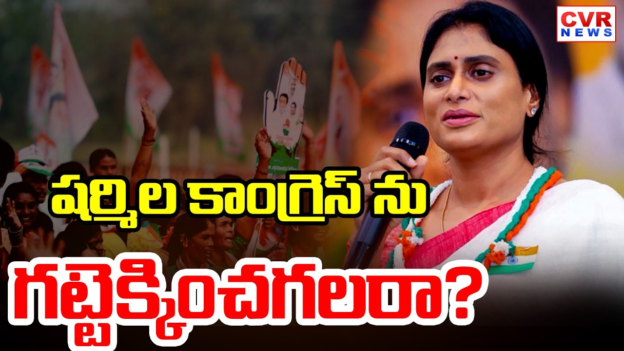 Sharmila Is Working Hard For The AP Congress Party | CVR News